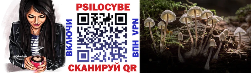 купить наркоту  площадка какой сайт  Псилоцибиновые грибы ЛСД  Петров Вал 